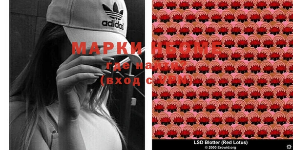 мдпв Горняк