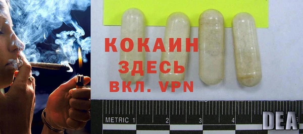 мдпв Горняк