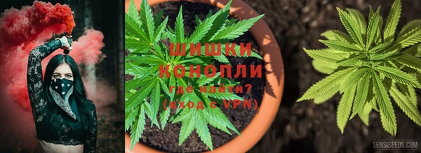 spice Горнозаводск