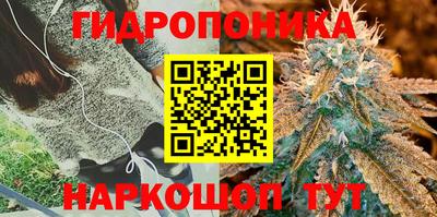молекула духа Дубна