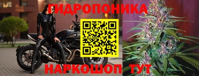 молекула духа Дубна