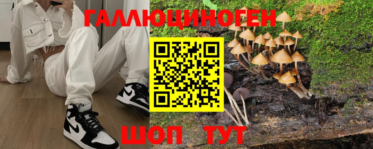 Реутов  Псилоцибиновые грибы мухоморы  Псилоцибиновые грибы Psilocybe  Вход с VPN 